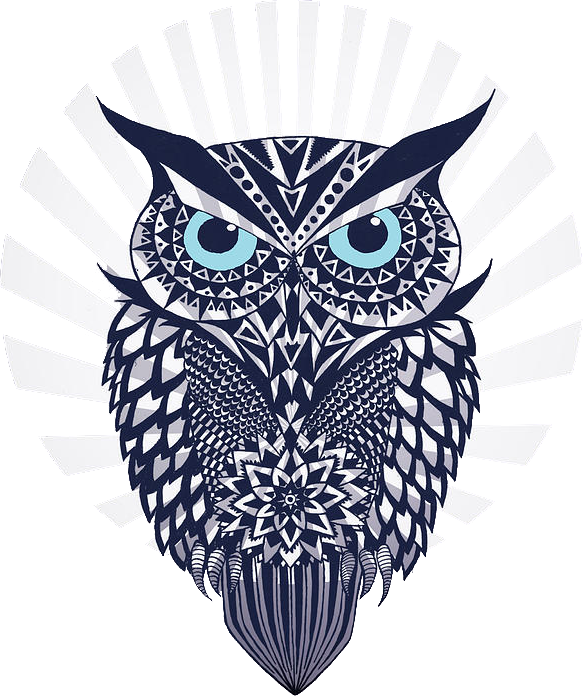 OWL: Mark Ashkenazi